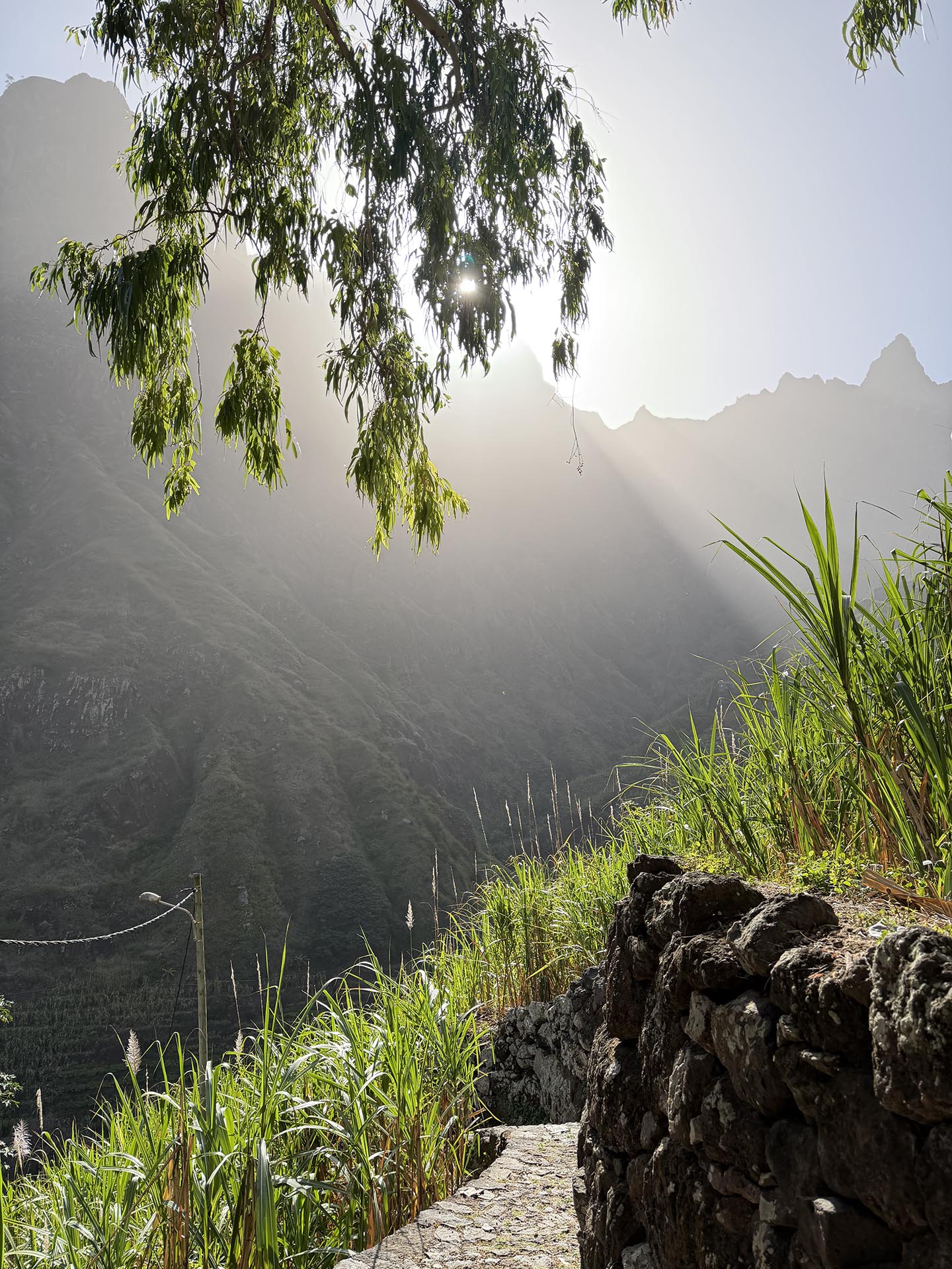 excursion-cap-vert-santo-antao-de-la-montagne-a-locean-en-douceur-dydaexcursion